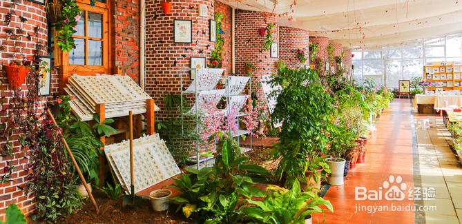 司徒小镇 2日游怎么安排