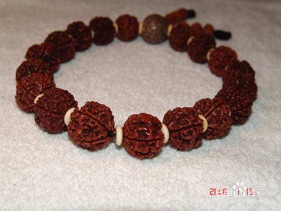 各种菩提（以免被那些奸商忽悠）