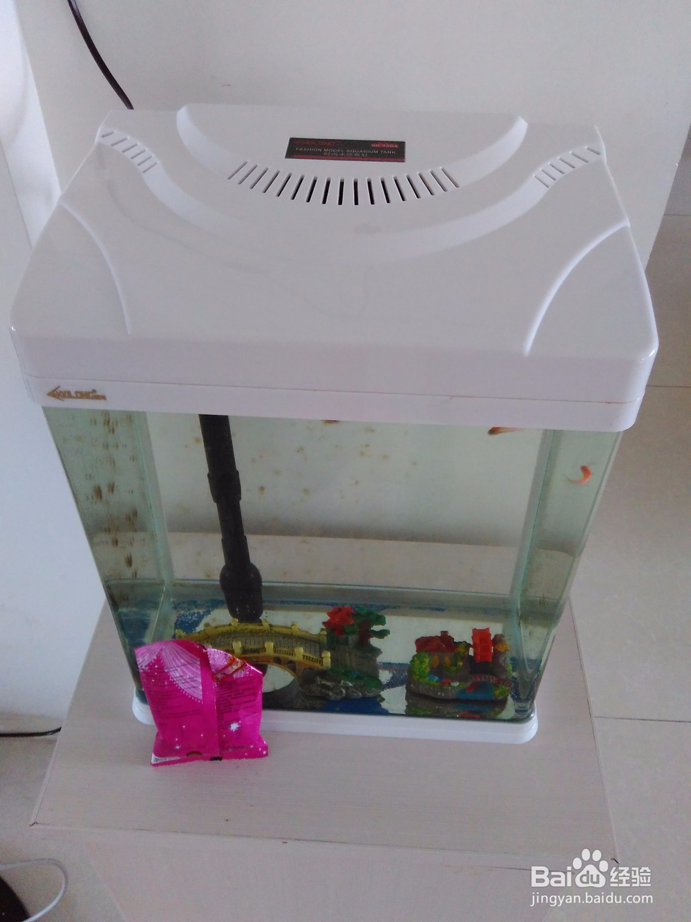 鱼缸的自动清洗方法,省时省力。