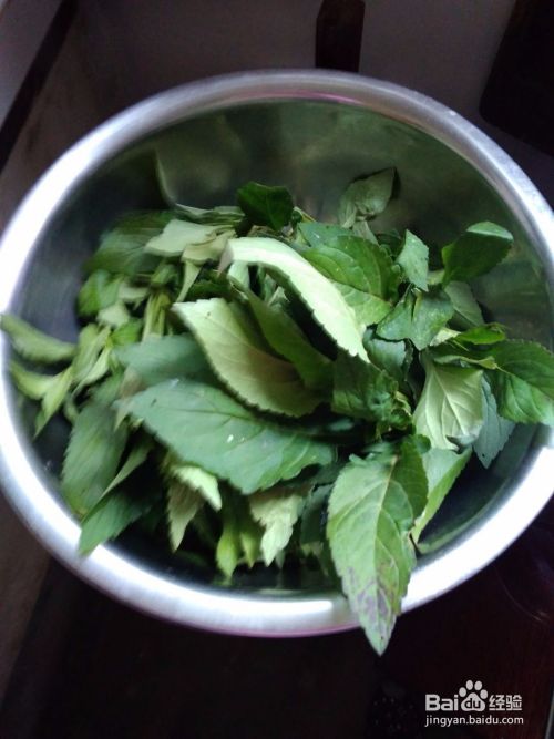 野苦菜的做法 百度经验 野苦菜的做法 百度经验