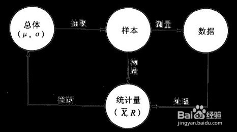 怎么分析统计调查中的数据和展示