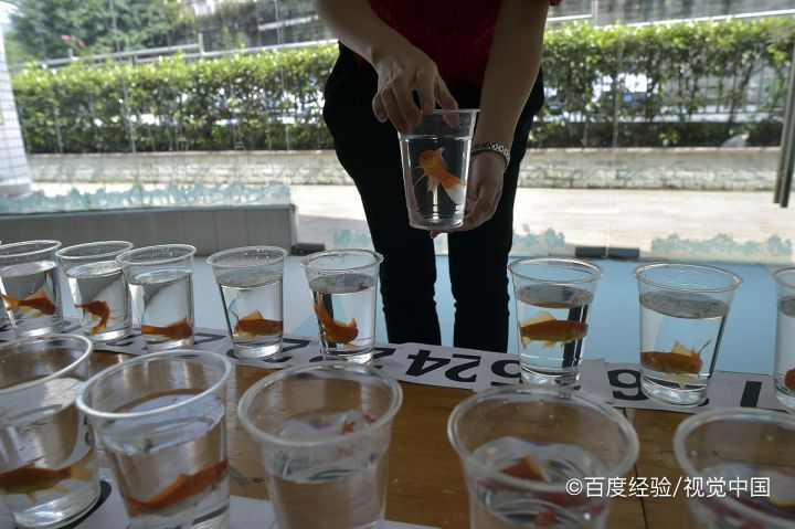 小学生专注力训练最有效的方法