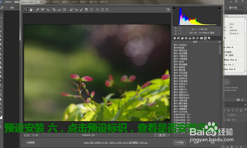 window系统photoshop里RAW预设安装位置