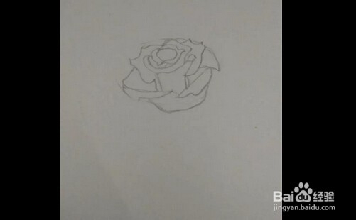 简笔画:手绘铅笔画“一枝红玫瑰”