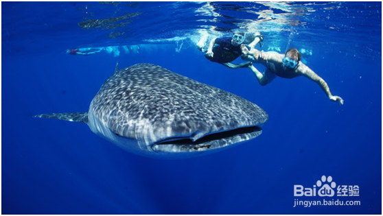 杜马盖地三日游——景点攻略