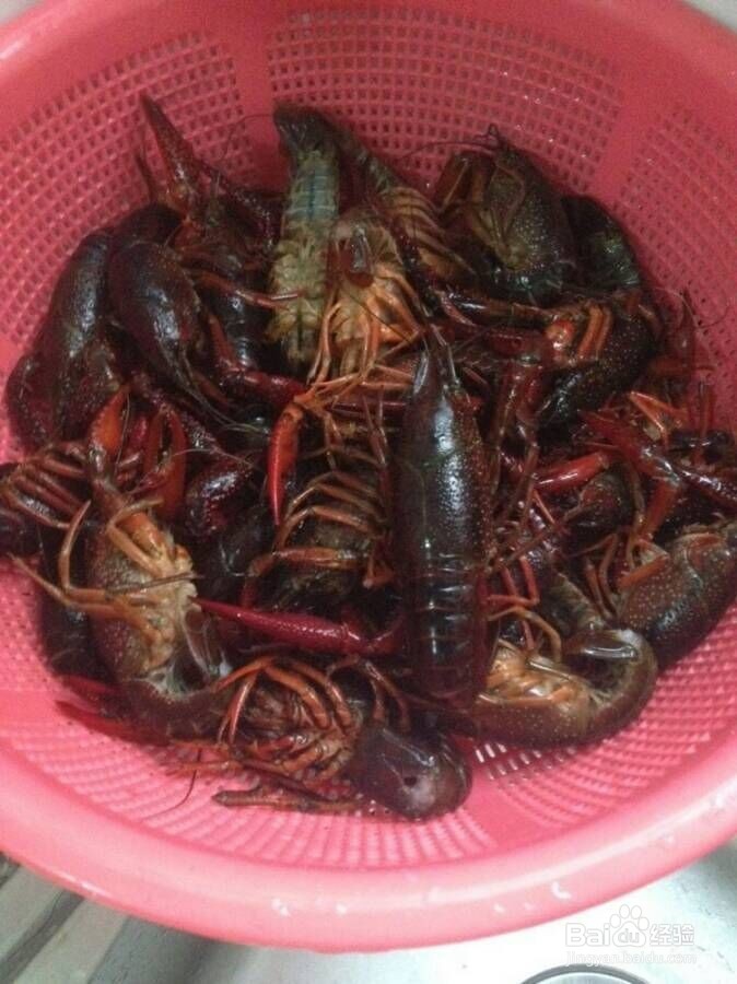 香辣小龙虾排档