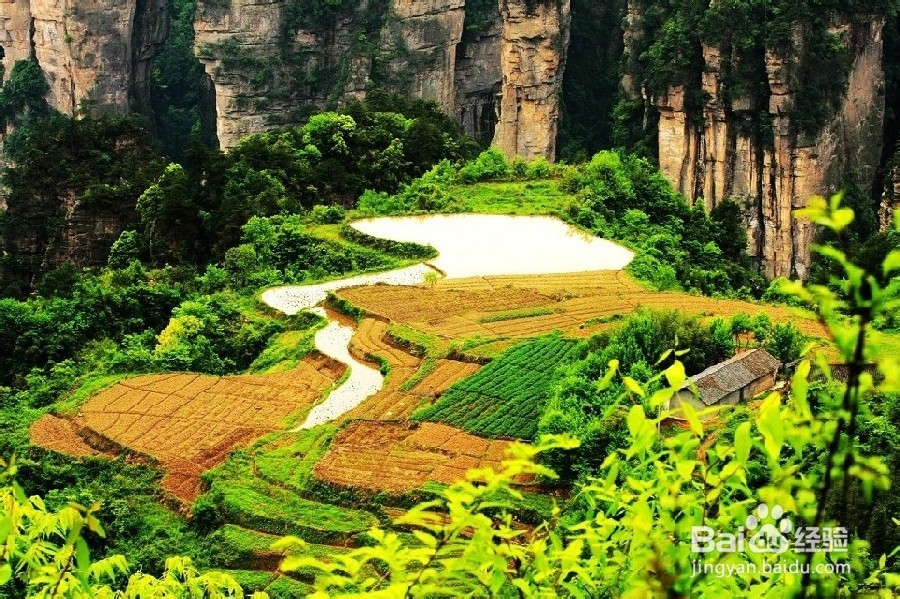 上海到张家界旅游攻略