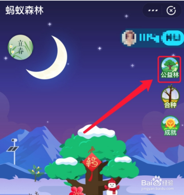 蚂蚁森林公益林怎么申请