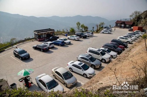 金峨山杜鹃花攻略