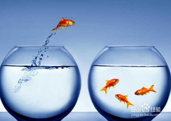 职场上要摒弃哪些错误观念