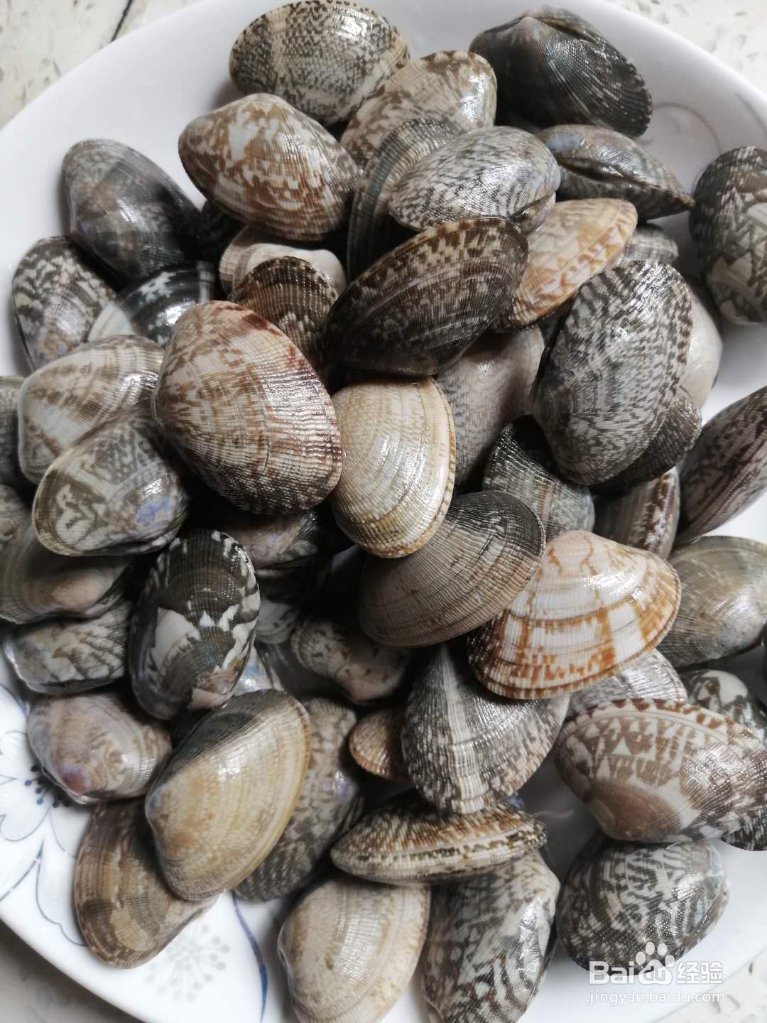 红烧花蛤怎么做