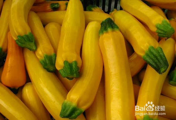 葫芦的各型分类