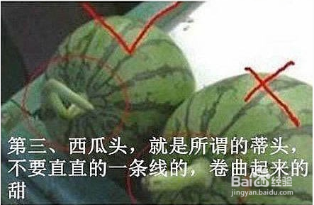 『百度生活小贴士』之教你怎么挑西瓜