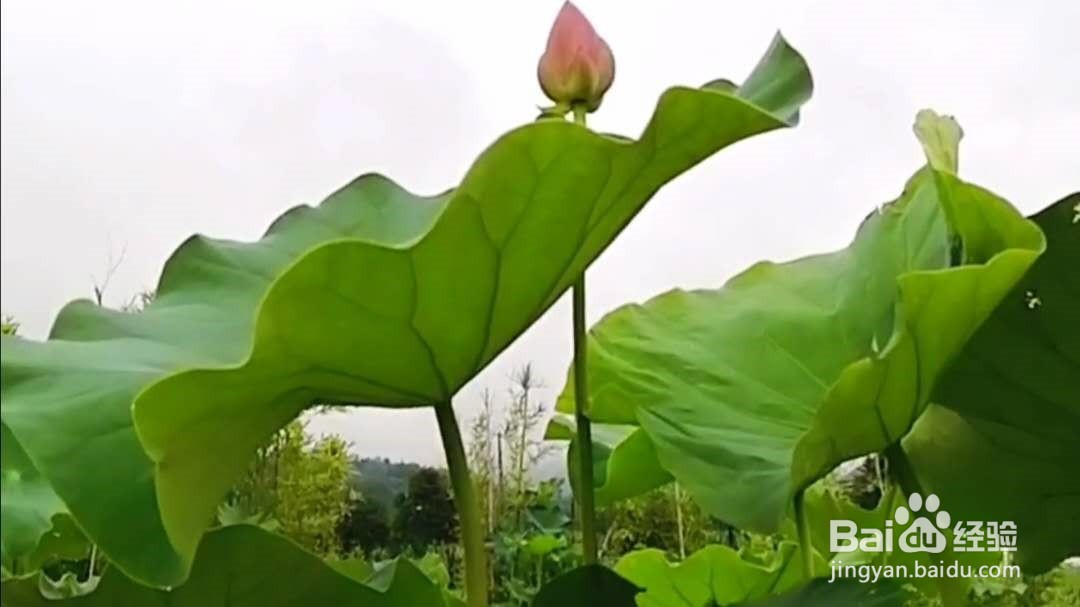 恋爱中的男女朋友应该如何相处才好？
