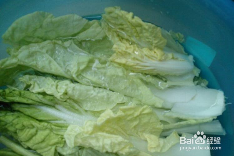 如何选购白菜？