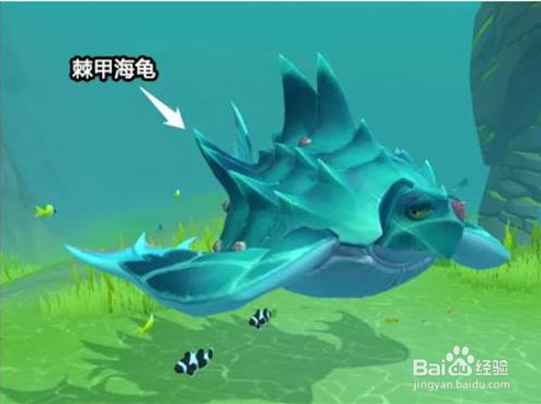 创造与魔法海底世界宠物饲料有哪些