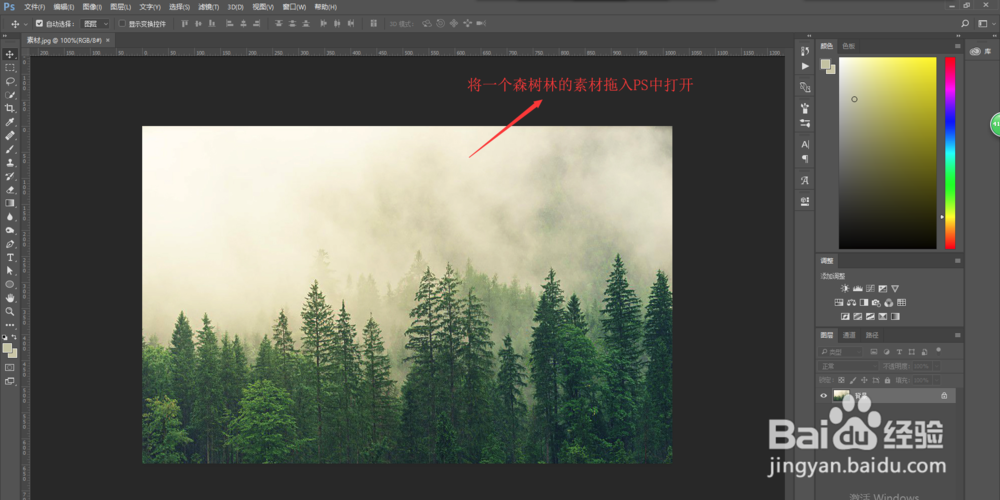 PS中怎么将松树林抠图抠出来