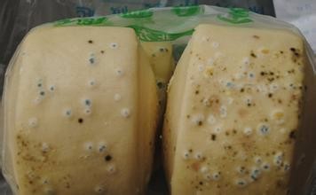 哪些食物易致癌