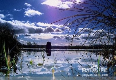 懂得放弃也是一种快乐