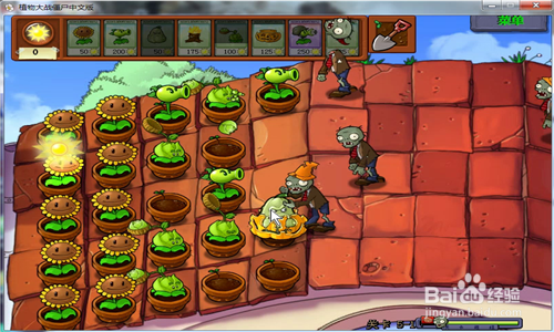 植物大战僵尸之【卷心菜投手】怎么玩?