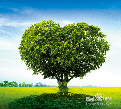 理想点亮人生征文