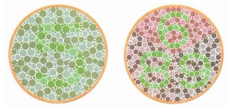 色盲与色弱的区别