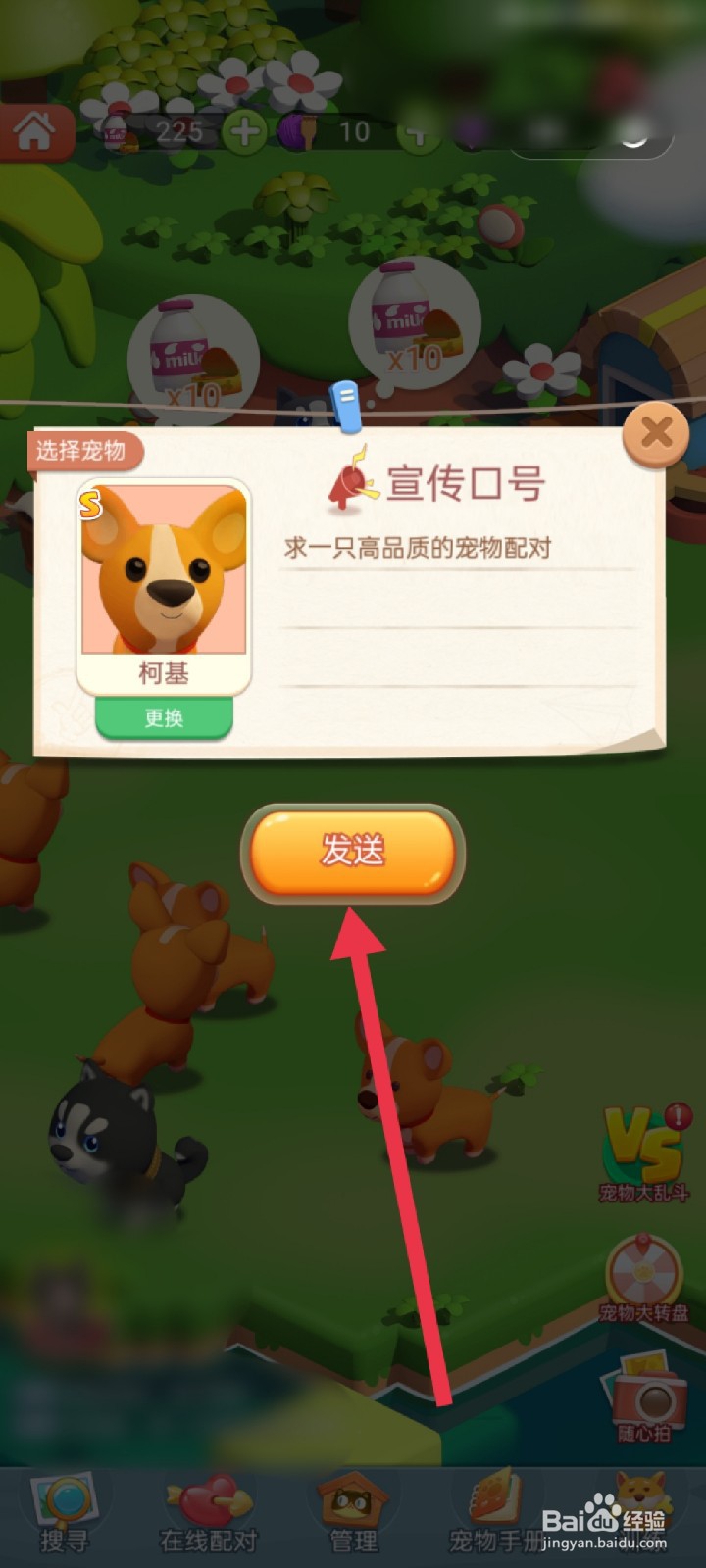 山海小镇如何“发送”宠物配对消息