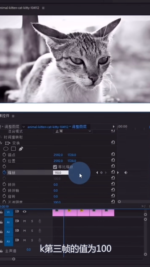 教你pr制作缩放卡点效果