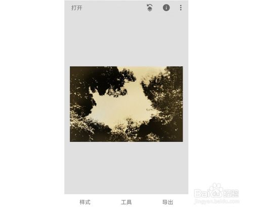 snapseed(指划修图)怎么用