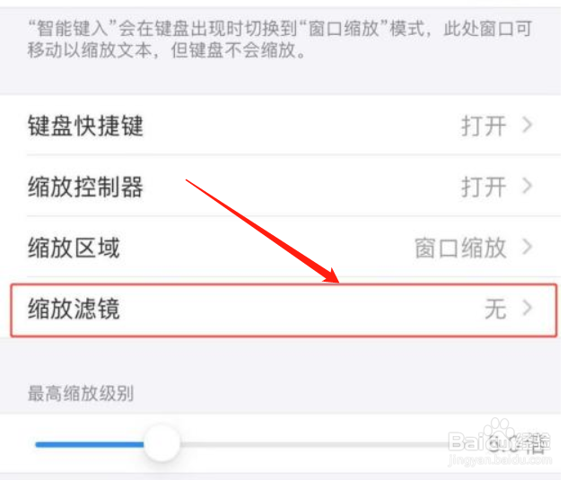 苹果手机如何设置缩放滤镜反转功能