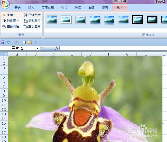 在EXCEL2007中如何修改图片