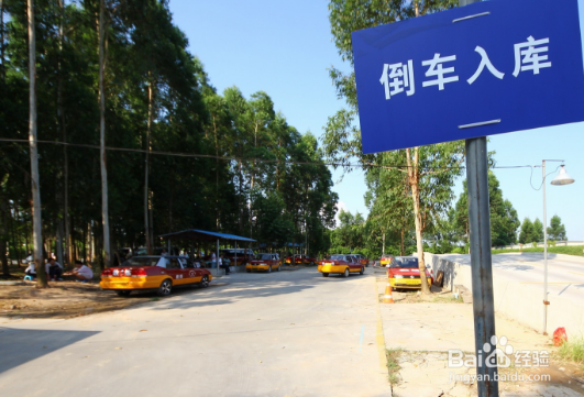 科目二怎么样顺利通过
