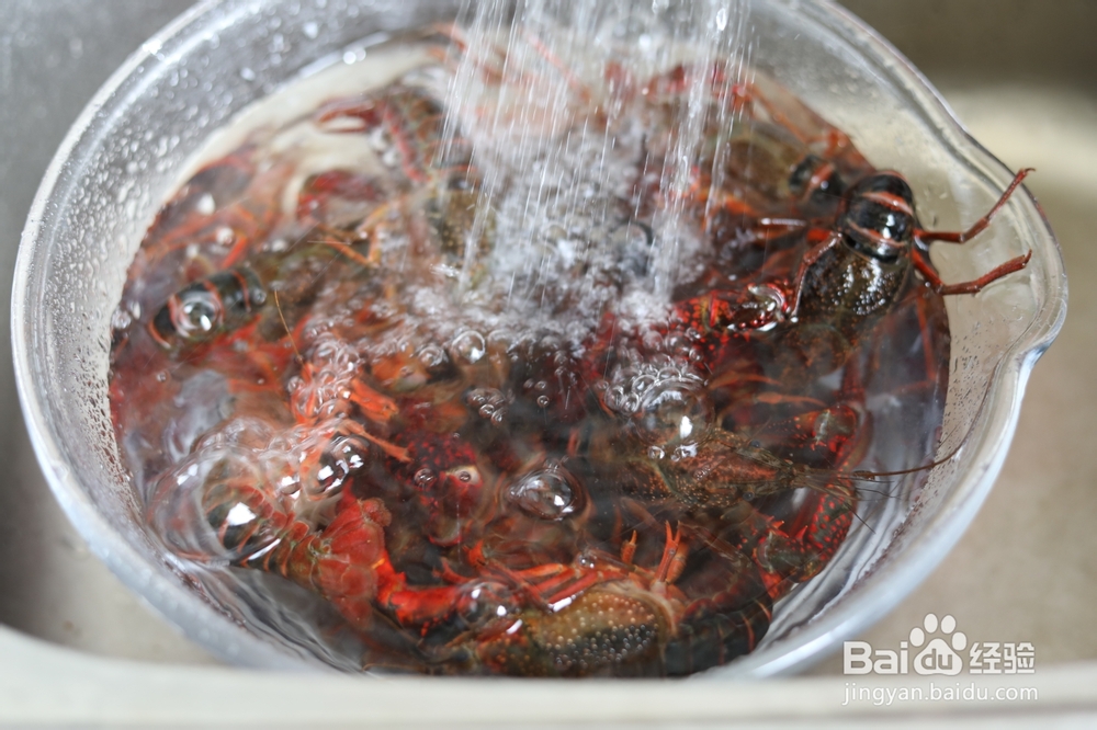 香香脆脆的青花椒辣卤小龙虾