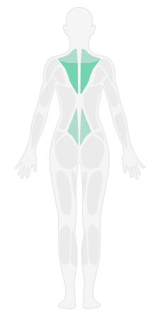 俯卧TW伸展_家庭增肌特训