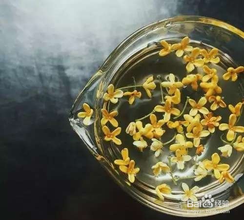 春天喝什么茶好？