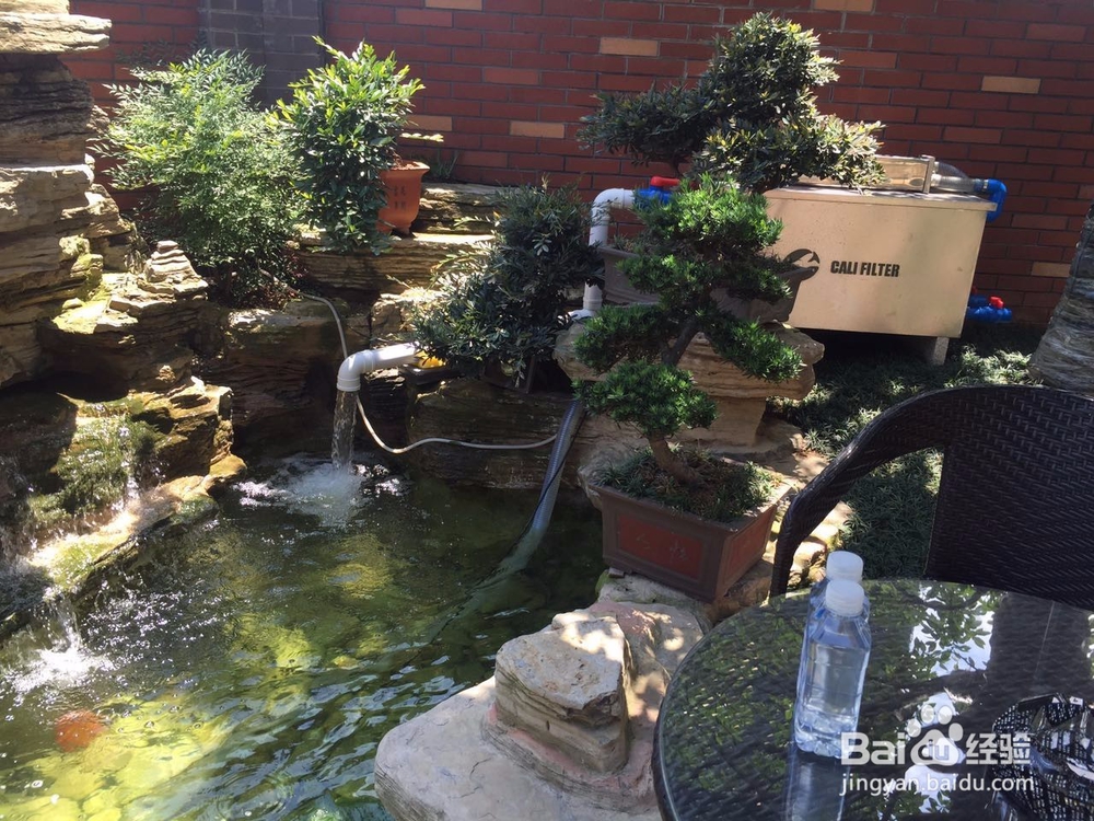 简单实用的鱼池过滤系统