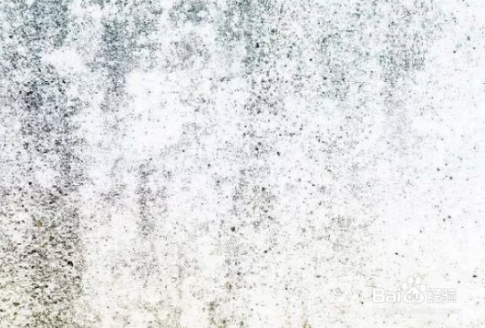 如何用PS制作公章？简单几步就搞定！