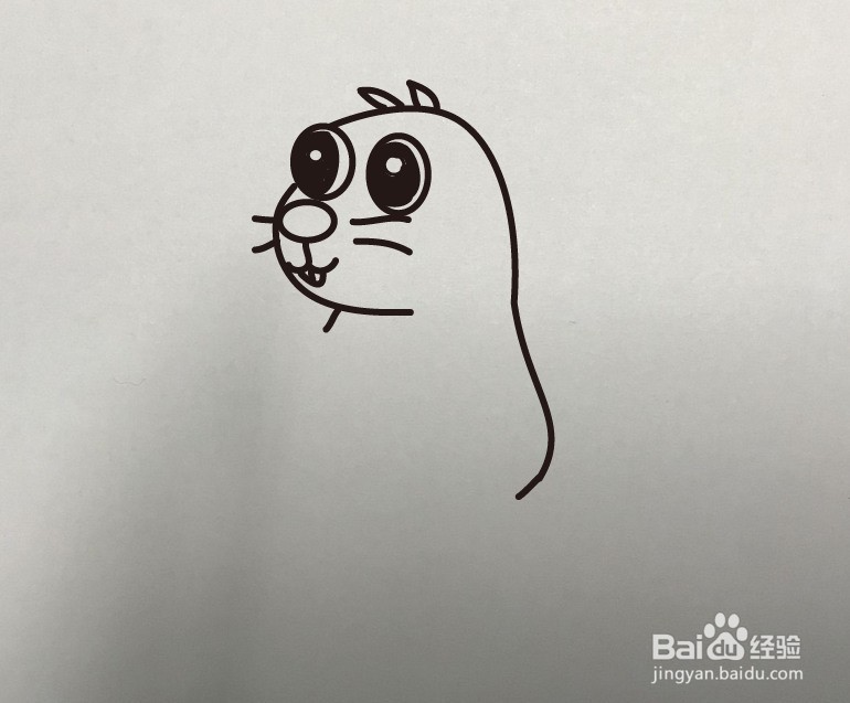如何画大眼睛树懒的简笔画