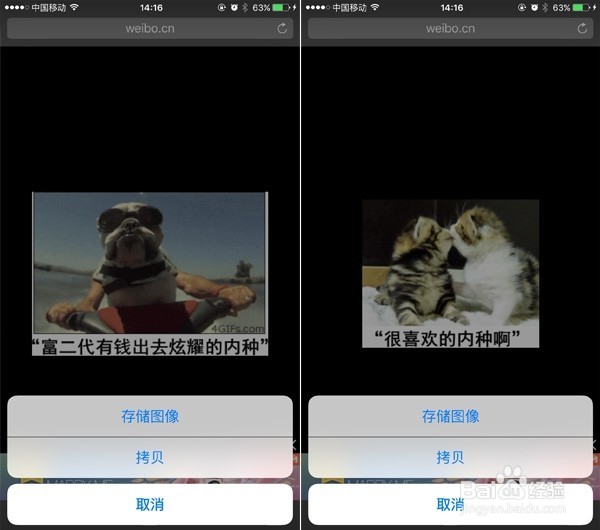 如何在iPhone上保存/发送动态表情？