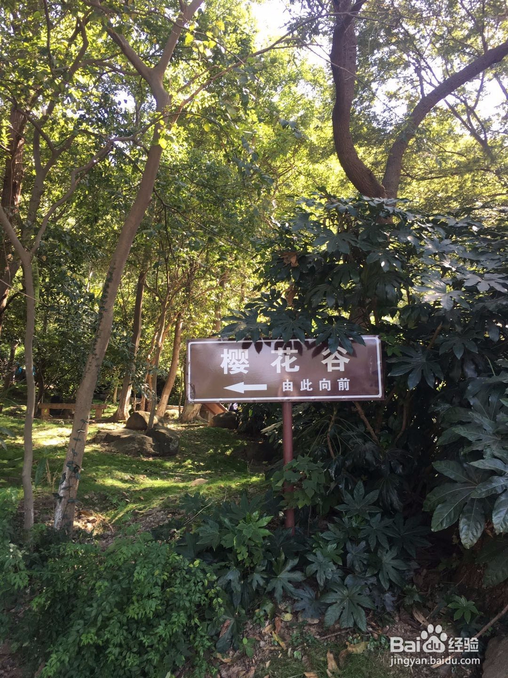 江宁方山游玩攻略