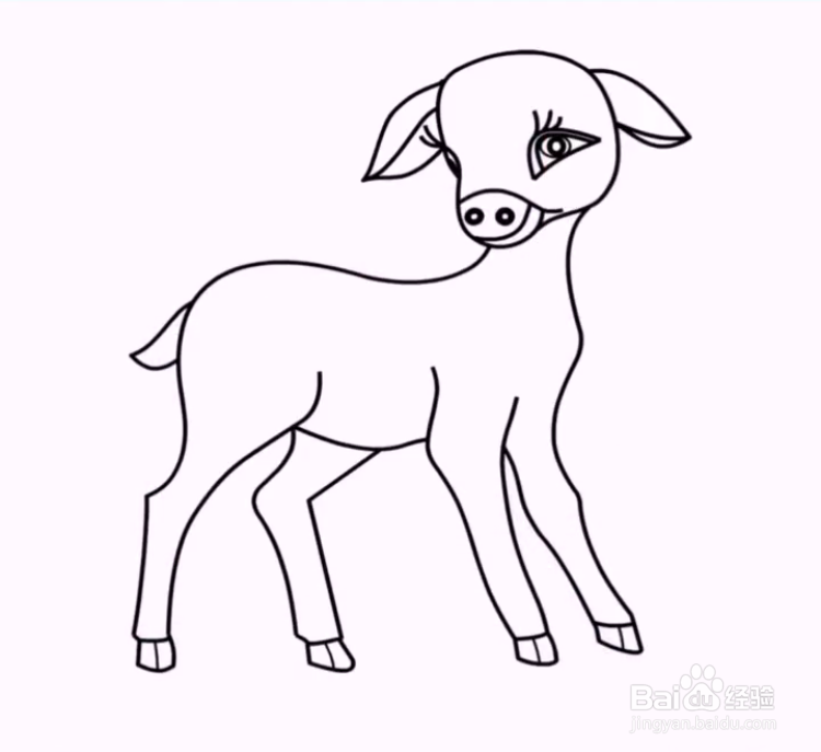 如何画小羊