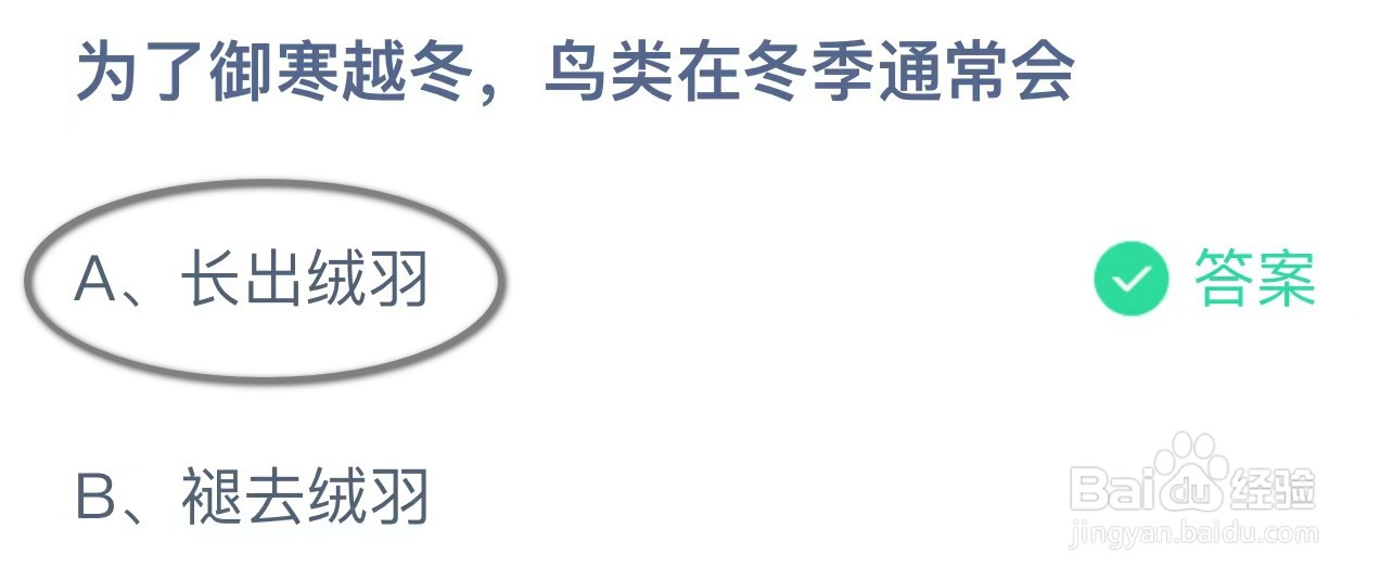蚂蚁庄园今日正确答案11月24日(极速版)