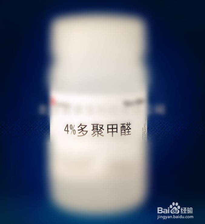 如何做出一张好的免疫荧光片子（很详细）