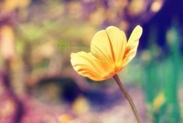 家长应该怎样跟处在青春期的孩子相处？