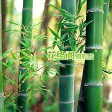 成功者具备哪些特质