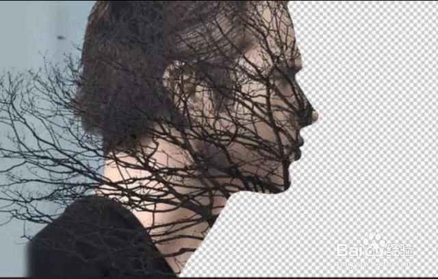 Photoshop飞鸟双重曝光效果