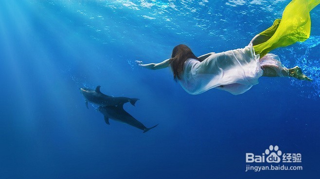 初行度假帕劳潜水体验路线