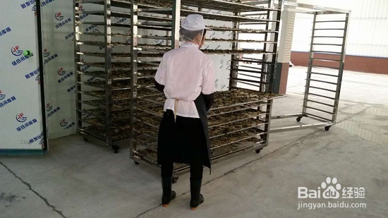 梅干菜烘干工艺方法