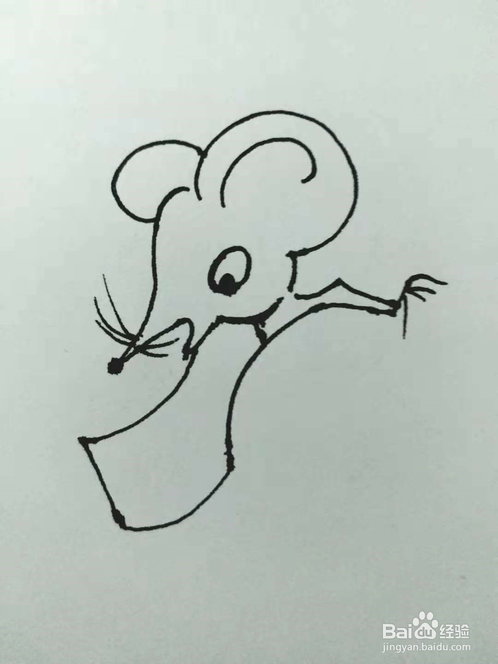 老鼠的简笔画法3