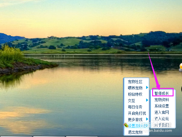 如何让Q宠暂停成长？